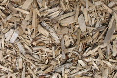 biomass boilers Embo